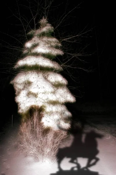 初の影絵付雪 — ストック写真