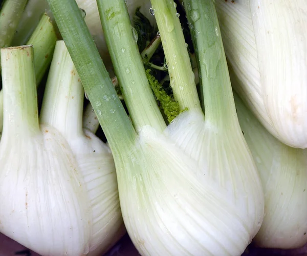 Vegetarisk Mat Selektivt Fokus — Stockfoto