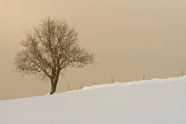 Bela Vista Paisagem Inverno — Fotografia de Stock