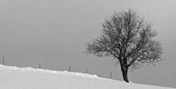 Bela Vista Paisagem Inverno — Fotografia de Stock