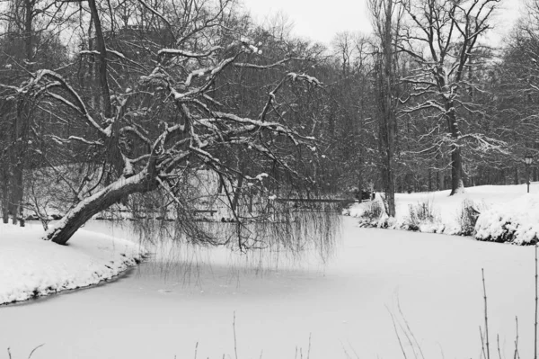 Wilhelmsbad Nieve — Foto de Stock