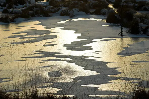 Nessuna Foto Dall America — Foto Stock