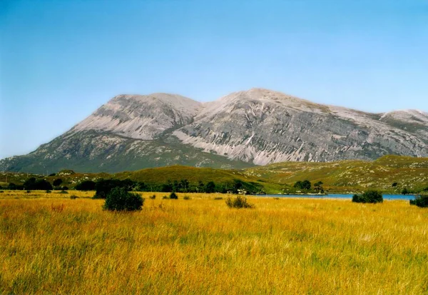 Hermosa Vista Naturaleza Escena — Foto de Stock