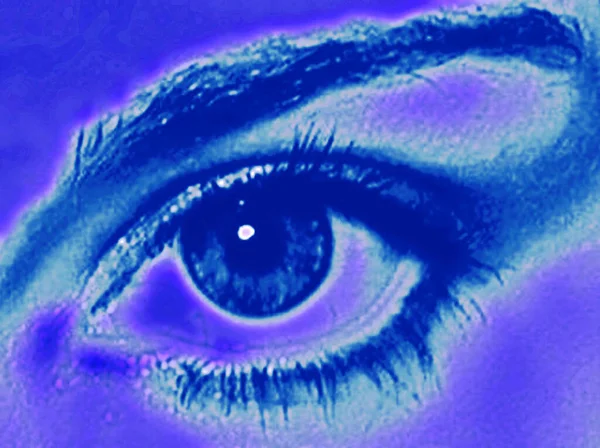 Макрос Очей Блакитними Очима — стокове фото