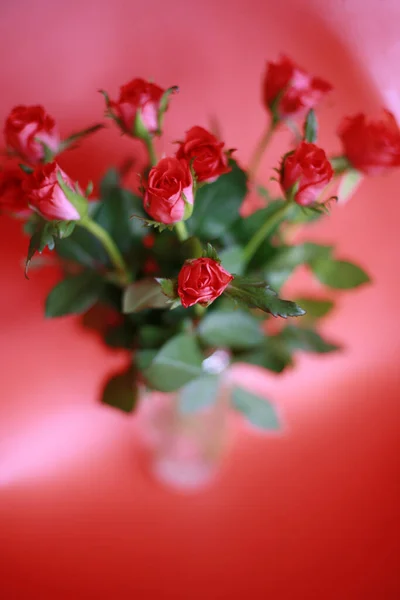 Fondo Colorido Para Tarjeta Del Día San Valentín —  Fotos de Stock