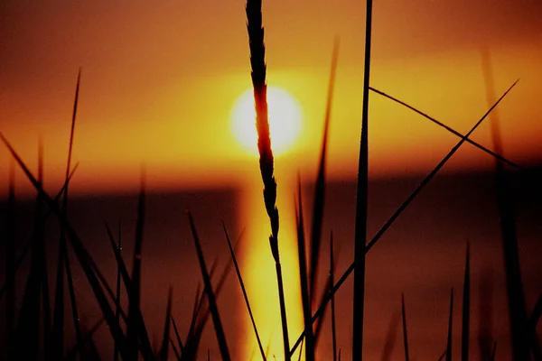 Západ Slunce Jezeře — Stock fotografie