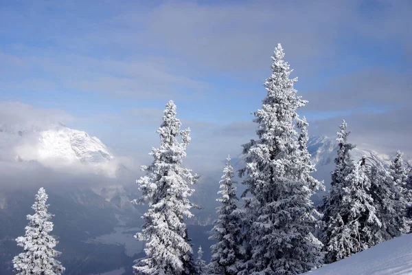 Чудовий Зимовий Краєвид Тіролі — стокове фото