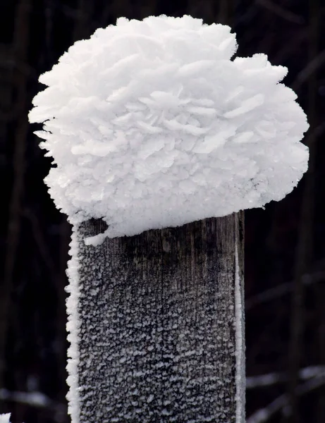 Uitzicht Een Winterse Scène — Stockfoto