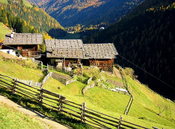 Steile Bergbauernhöfe Weitesten Ultental Südtirol — Stockfoto