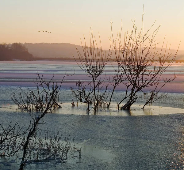 Schöne Aussicht Auf Die Natur — Stockfoto