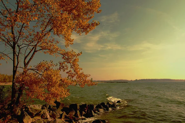 Registrado Toronto Island Una Pequeña Isla Lake Ontario — Foto de Stock