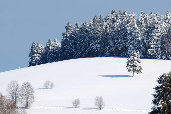 Best Weather Our Mini User Meeting Last Weekend — Stock Photo, Image