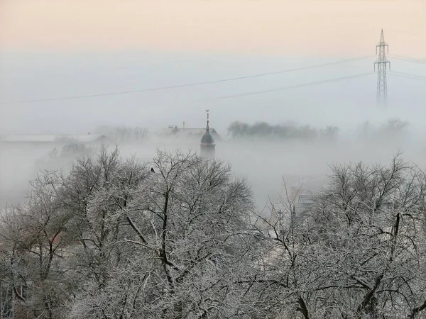 Мальовничий Вид Красивого Птаха Природі — стокове фото