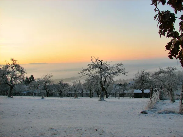 Vista Uma Cena Inverno — Fotografia de Stock