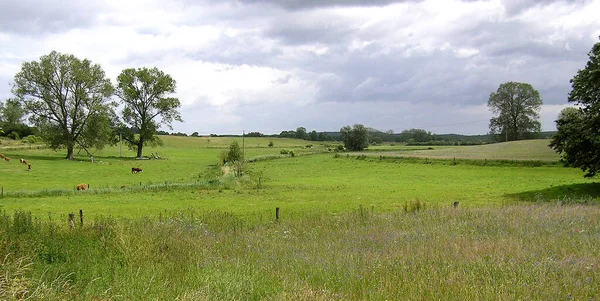 Schöne Aussicht Auf Die Natur — Stockfoto