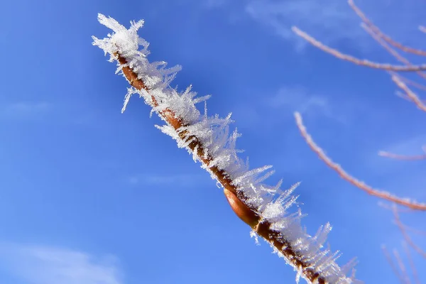 Uitzicht Een Winterse Scène — Stockfoto