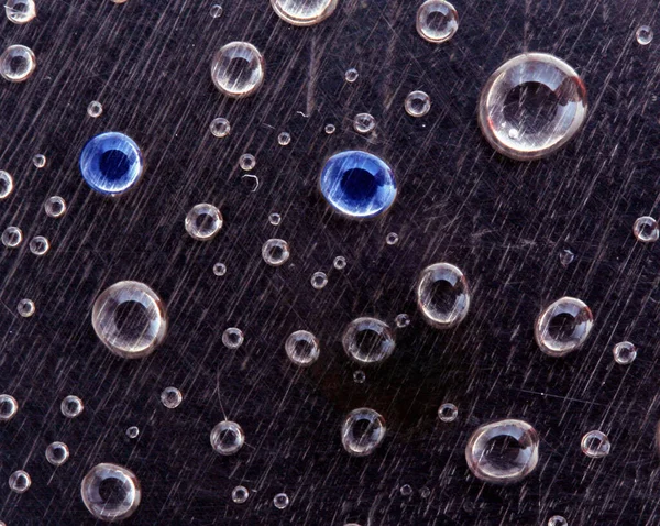 Голубые Глаза Дождя — стоковое фото