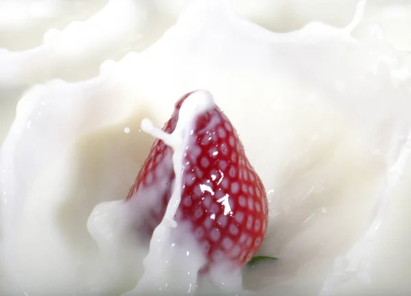 Berries Closeup Shot Healthy Food Concept — Stock Photo, Image