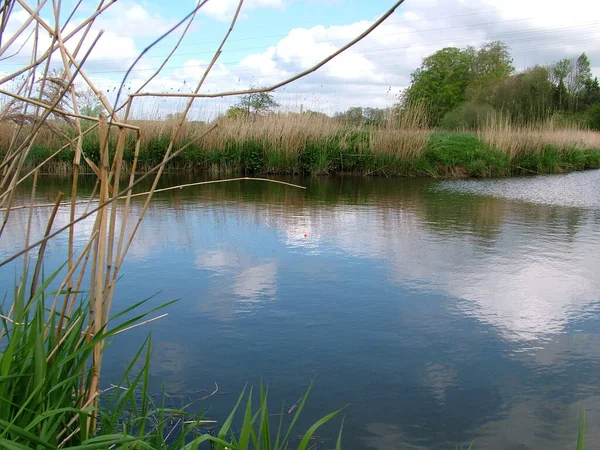 Боковом Рычаге Траве Лежит Неподвижная Вода Которая Позволяет Расслабленную Тихую — стоковое фото