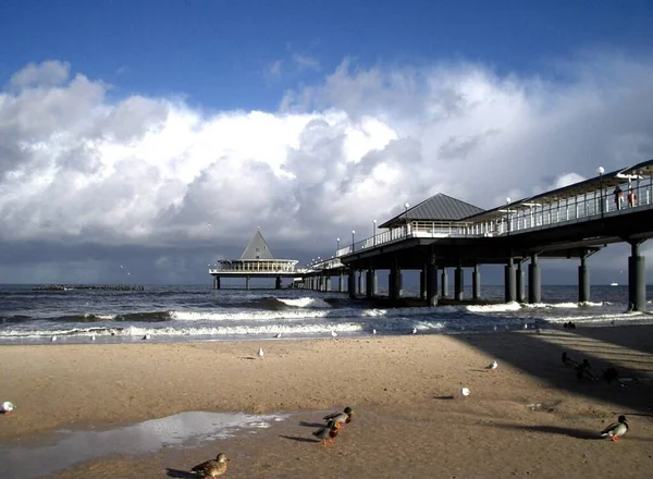 Strand Met Pier Achtergrond — Stockfoto