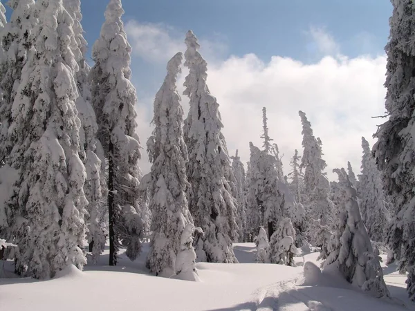 Belle Vue Sur Paysage Hivernal — Photo