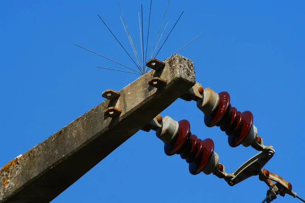 Crochet Grue Contre Ciel Bleu — Photo