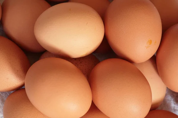 Eieren Doos — Stockfoto