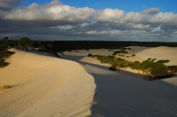 Kangaroo Island Krajobraz Przyrodniczy — Zdjęcie stockowe