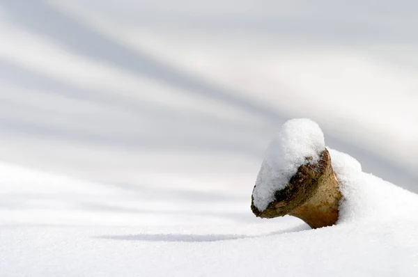 Schatten Schnee — Stockfoto