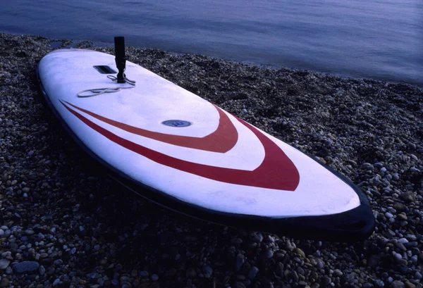 Surfboard Margens Lago Neusiedl Burgenland Áustria Áustria — Fotografia de Stock