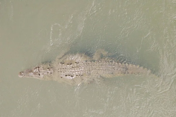 Alleen Gemakkelijk Herkennen Van Bovenaf Vanaf Kust Het Water Zie — Stockfoto