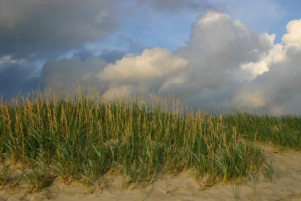 Nordsjön 2004 Peter Ording — Stockfoto