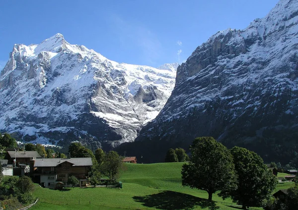 Bergpanorama Bij Grindelwald — Stockfoto