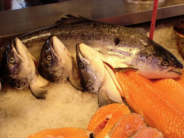 Antipasto Carne Pesce Salmone Frutti Mare — Foto Stock