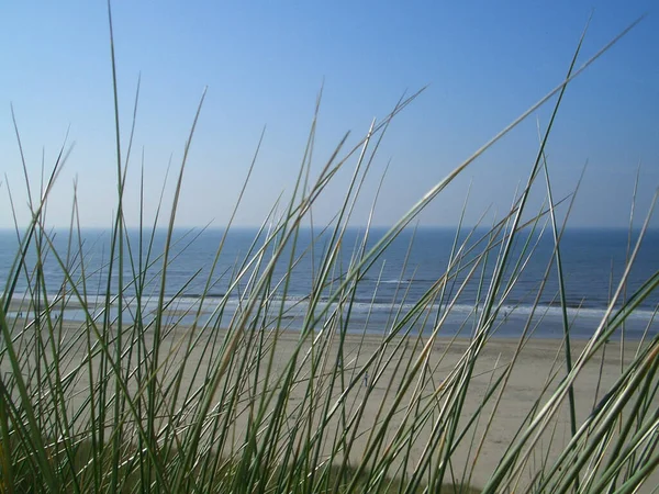 Strand Szene Natürliches Wasser — Stockfoto