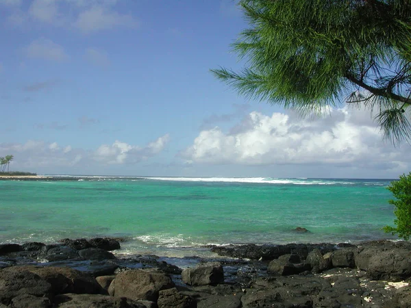 Mooie Mauritius Eiland Natie Indische Oceaan — Stockfoto