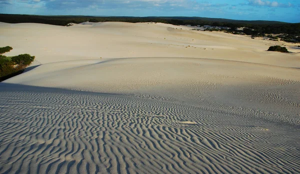 Kangaroo Island Krajobraz Przyrodniczy — Zdjęcie stockowe