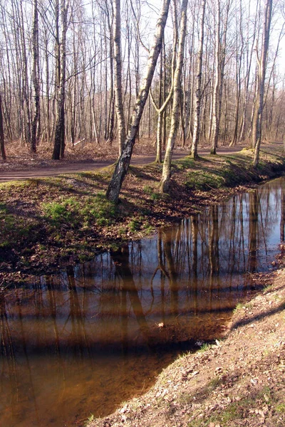 Fluss Frühling — Stockfoto