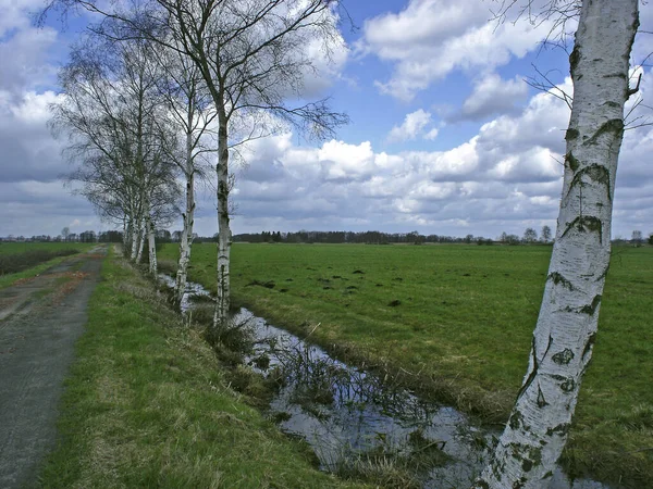 Vacker Utsikt Över Naturen — Stockfoto