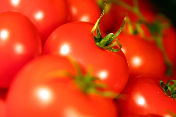 Red Ripe Tomatoes Close — Stock Photo, Image