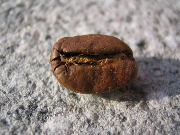 Kaffeebohnen Auf Dem Boden — Stockfoto