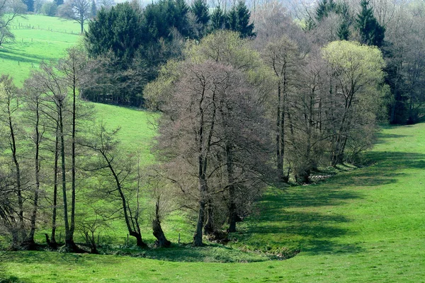 Schöne Aussicht Frühlingslandschaft — Stockfoto