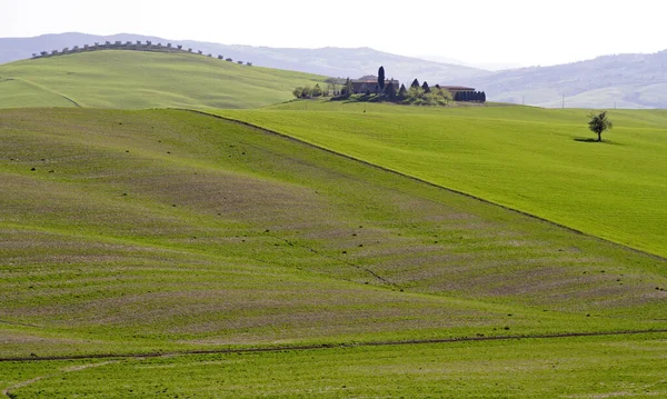 Campo Toscano Centro Itália — Fotografia de Stock