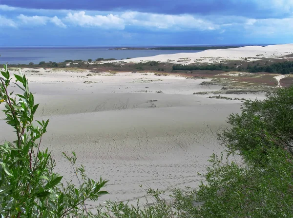 Paysage Dunaire Frontière Russe — Photo