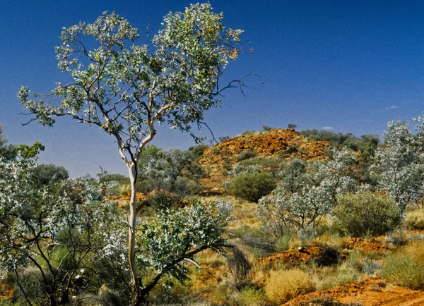 Alice Springs Ayers Rock Között Ausztráliában — Stock Fotó