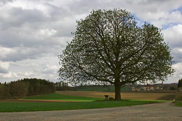 Schöne Aussicht Auf Die Natur — Stockfoto