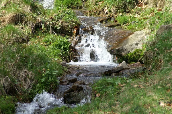 Naturens Skönhet Flodflöde Och Vattenfall — Stockfoto