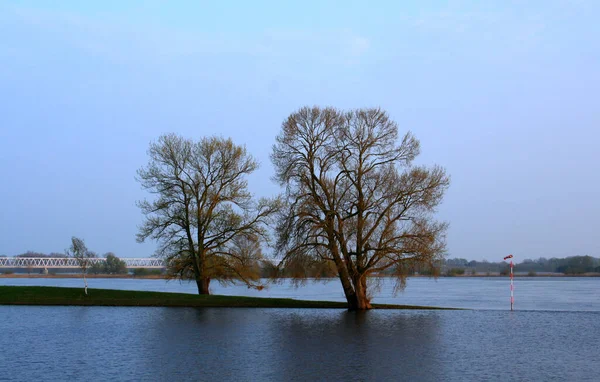 Krajobraz Drzewami Jeziorem — Zdjęcie stockowe