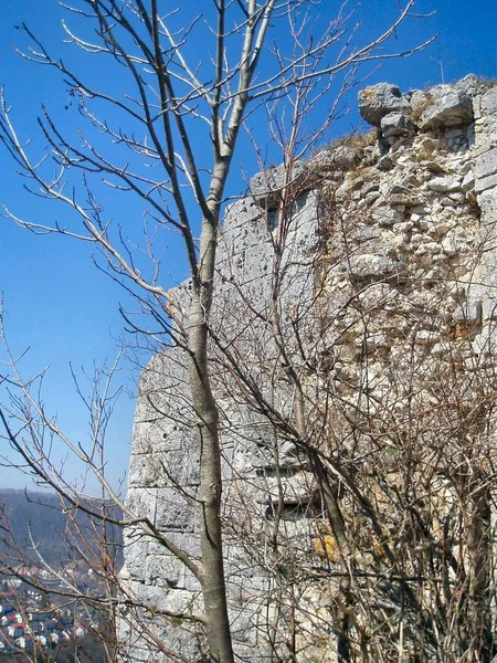 Vista Panoramica Sulla Maestosa Architettura Medievale Del Castello — Foto Stock