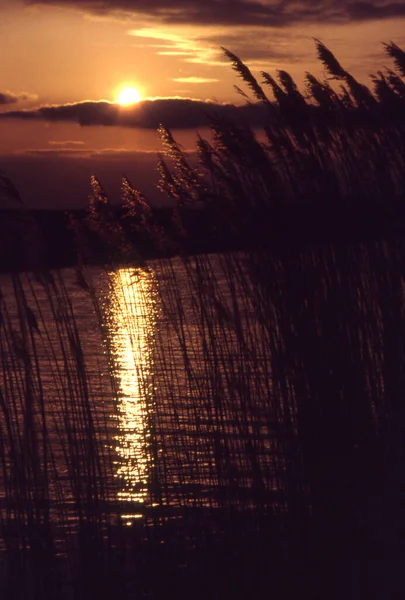 湖の夕日 — ストック写真